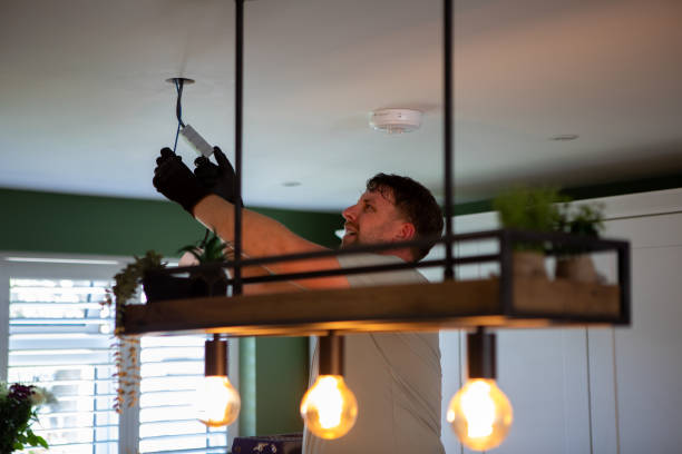 Best Electric Panel Repair  in Cross Lanes, WV